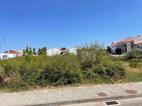 Terreno Para Construção  Venda em Castelo Branco,Castelo Branco