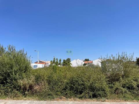 Terreno Para Construção  Venda em Castelo Branco,Castelo Branco