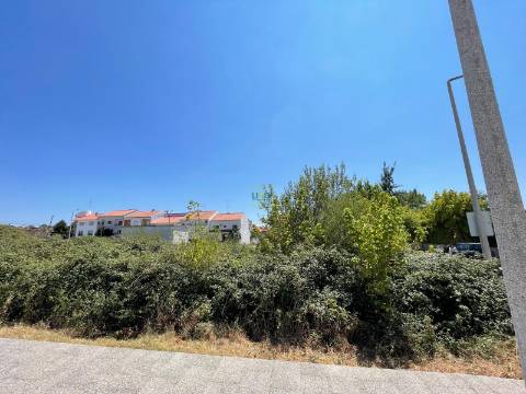 Terreno Para Construção  Venda em Castelo Branco,Castelo Branco