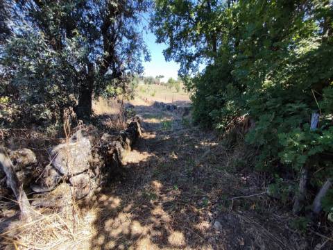 Terreno rústico em Aldeia do Bispo, Penamacor!