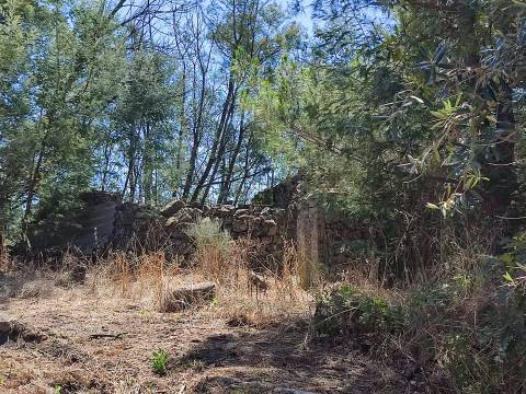 Terreno rústico em Aldeia do Bispo, Penamacor!