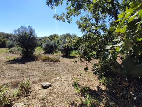 Terreno rústico em Aldeia do Bispo, Penamacor!