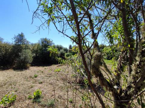 Terreno rústico em Aldeia do Bispo, Penamacor!