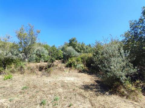 Terreno rústico em Aldeia do Bispo, Penamacor!