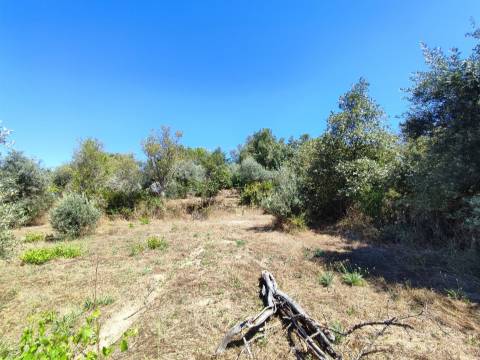 Terreno rústico em Aldeia do Bispo, Penamacor!