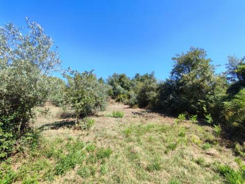 Terreno rústico em Aldeia do Bispo, Penamacor!