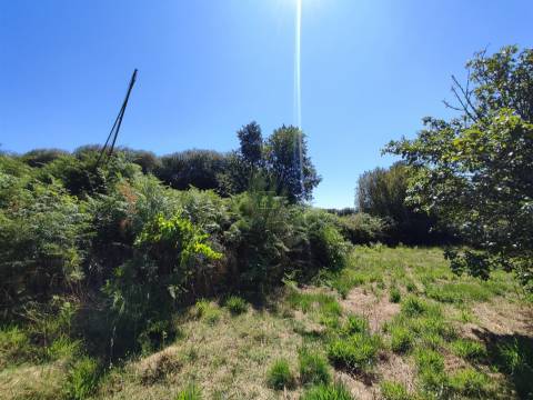 Terreno rústico em Aldeia do Bispo, Penamacor!