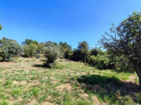 Terreno rústico em Aldeia do Bispo, Penamacor!
