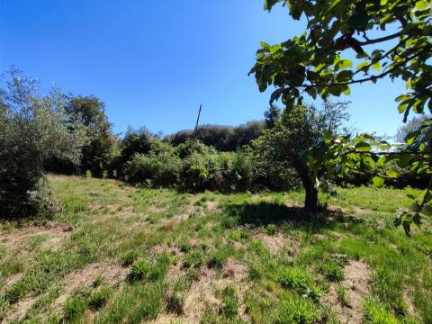 Terreno rústico em Aldeia do Bispo, Penamacor!