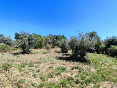 Terreno rústico em Aldeia do Bispo, Penamacor!