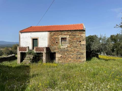 Quinta com Construção Urbana em Mendares na freguesia de Sarzedas, Castelo Branco