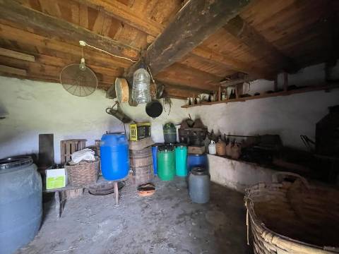 Quinta com Construção Urbana em Mendares na freguesia de Sarzedas, Castelo Branco