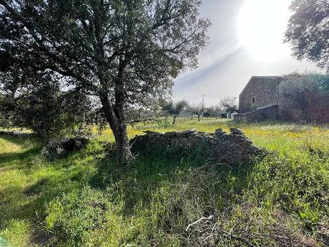 Quinta com Construção Urbana em Mendares na freguesia de Sarzedas, Castelo Branco