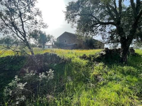 Quinta com Construção Urbana em Mendares na freguesia de Sarzedas, Castelo Branco