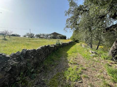 Quinta com Construção Urbana em Mendares na freguesia de Sarzedas, Castelo Branco
