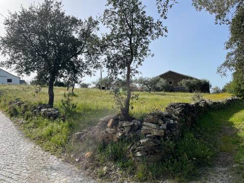 Quinta com Construção Urbana em Mendares na freguesia de Sarzedas, Castelo Branco