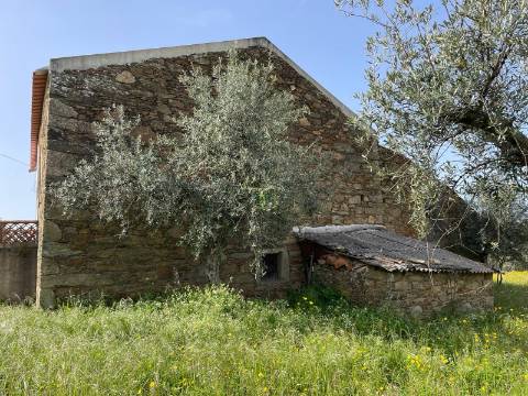 Quinta com Construção Urbana em Mendares na freguesia de Sarzedas, Castelo Branco
