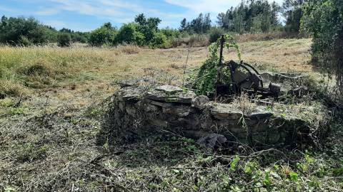 Quinta com  13.443m2