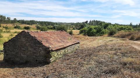 Quinta com  13.443m2