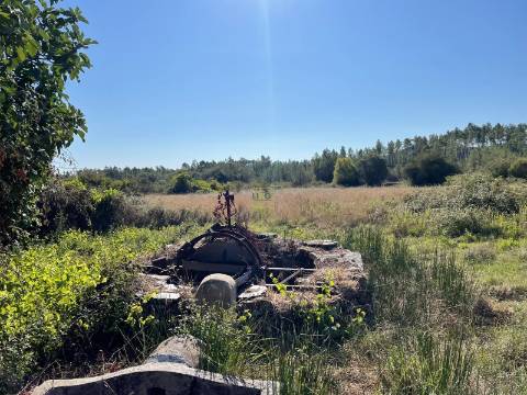 Quinta com  13.443m2