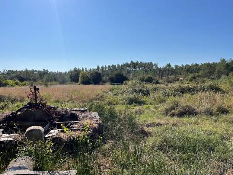 Quinta com  13.443m2