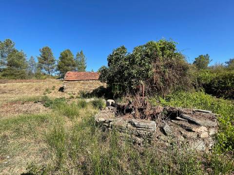 Quinta com  13.443m2