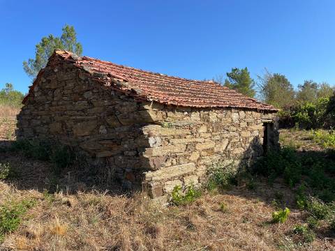 Quinta com  13.443m2