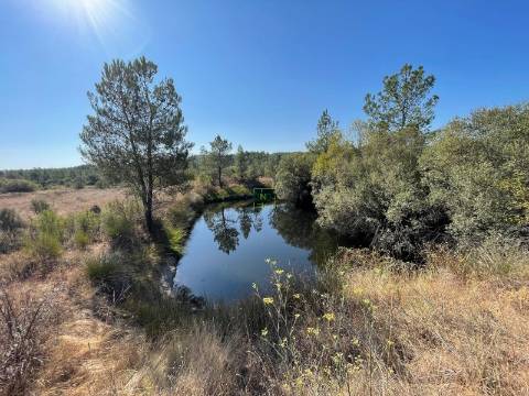 Quinta com  13.443m2