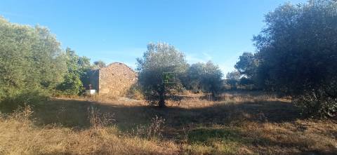 Terreno rústico em Penamacor