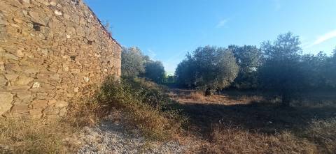 Terreno rústico em Penamacor