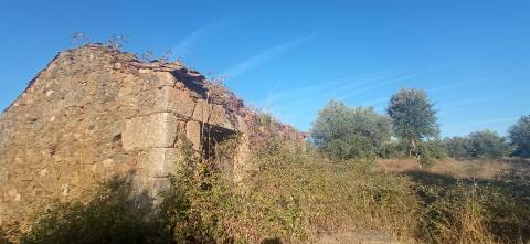 Terreno rústico em Penamacor