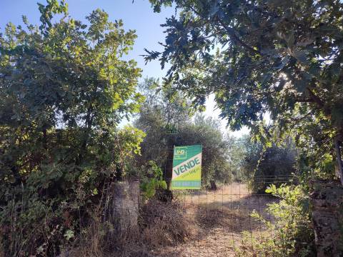 Terreno rústico em Penamacor