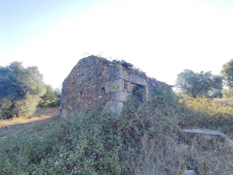 Terreno rústico em Penamacor