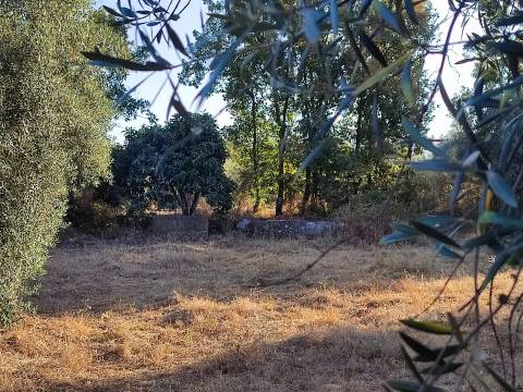 Terreno rústico em Penamacor