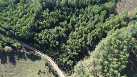 Terreno Rústico em Casteleiro
