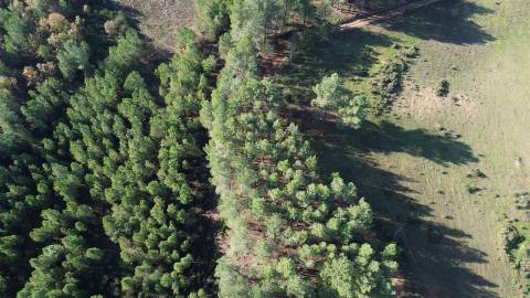 Terreno Rústico em Casteleiro