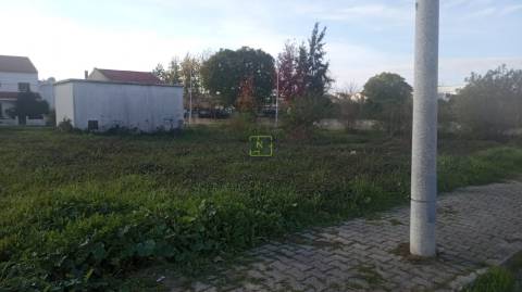 Terreno Para Construção  Venda em Castelo Branco,Castelo Branco