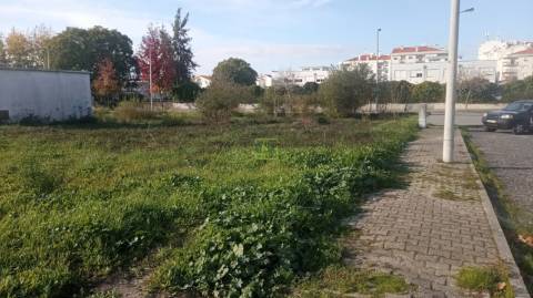 Terreno Para Construção  Venda em Castelo Branco,Castelo Branco