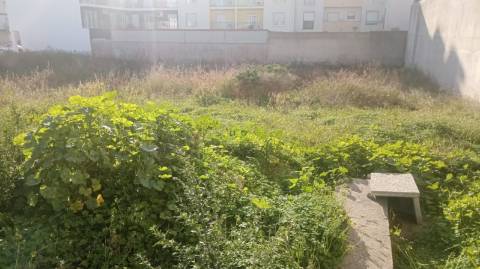 Terreno Para Construção  Venda em Castelo Branco,Castelo Branco