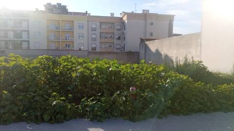 Terreno Para Construção  Venda em Castelo Branco,Castelo Branco