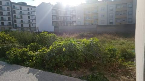 Terreno Para Construção  Venda em Castelo Branco,Castelo Branco