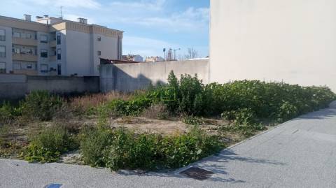 Terreno Para Construção  Venda em Castelo Branco,Castelo Branco