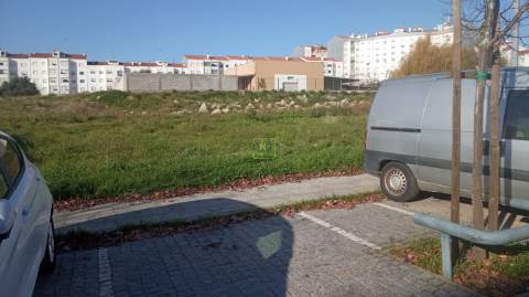Terreno Para Construção  Venda em Castelo Branco,Castelo Branco
