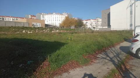 Terreno Para Construção  Venda em Castelo Branco,Castelo Branco