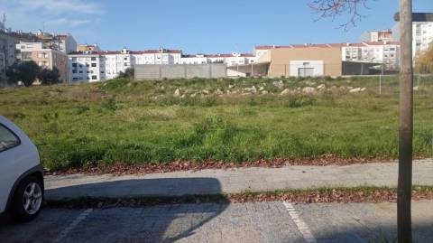 Terreno Para Construção  Venda em Castelo Branco,Castelo Branco