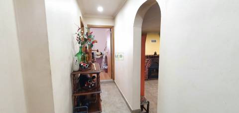 Quinta T3+1 para venda em Castelo Branco com 1.46HA