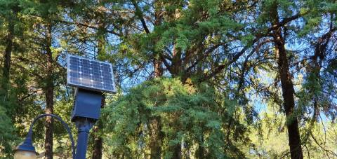 Quinta T3+1 para venda em Castelo Branco com 1.46HA