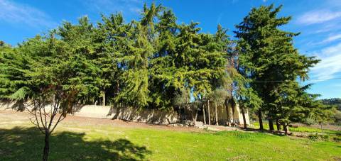 Quinta T3+1 para venda em Castelo Branco com 1.46HA