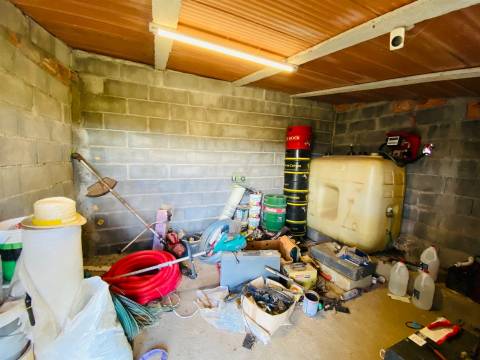 Quinta em Lardosa, Castelo Branco