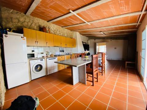 Quinta em Lardosa, Castelo Branco